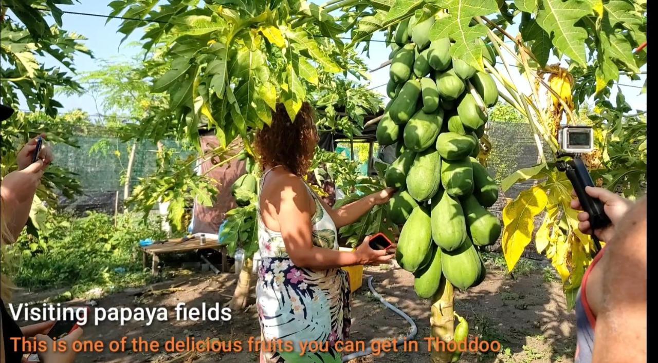Thoddoo Beach Holiday Экстерьер фото