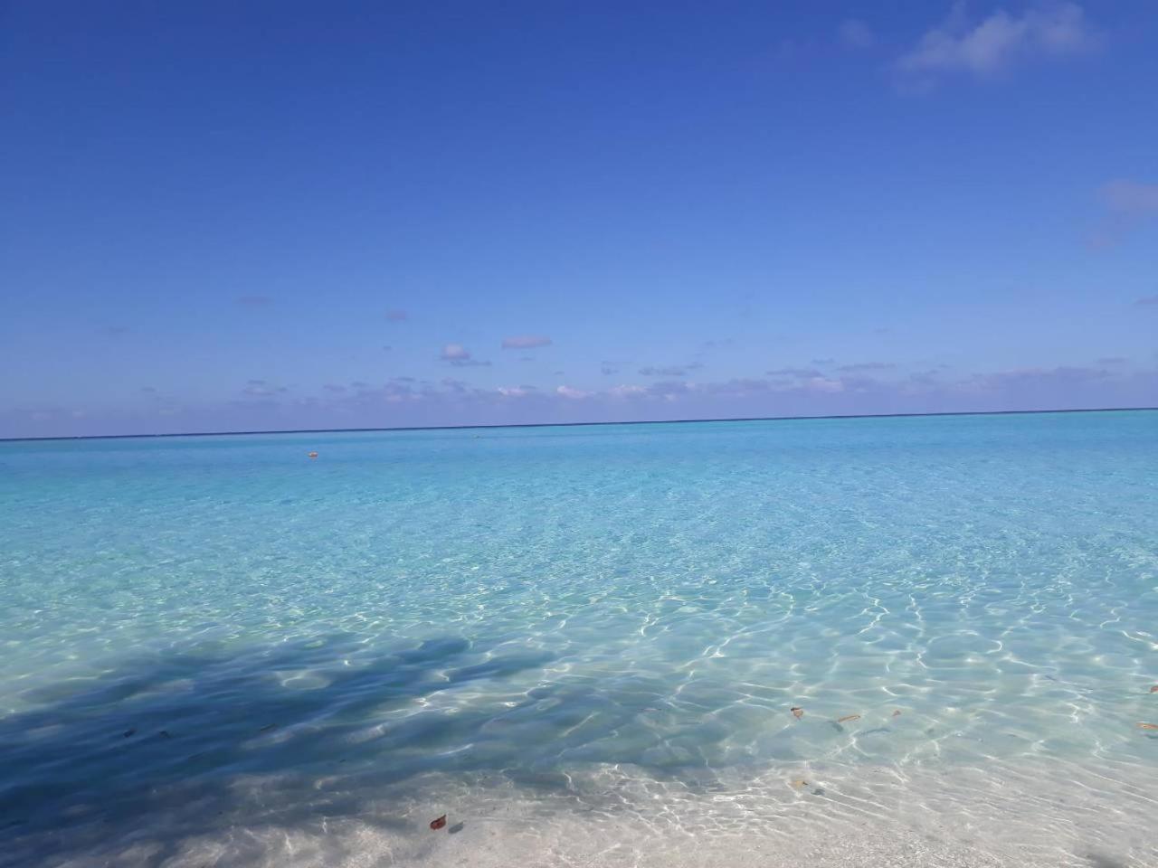 Thoddoo Beach Holiday Экстерьер фото